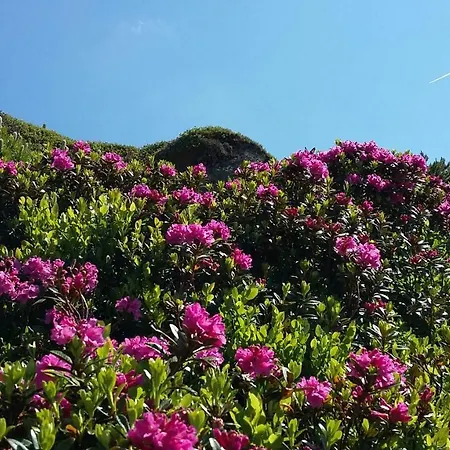 Affittacamere Kristall Kleinarl