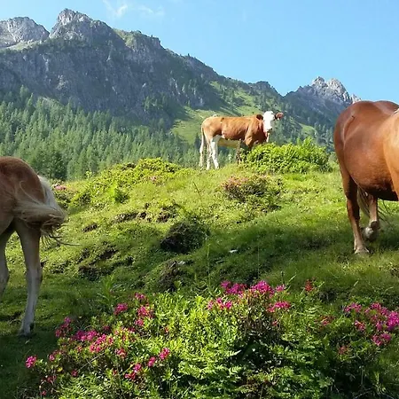 Kristall 3* Kleinarl