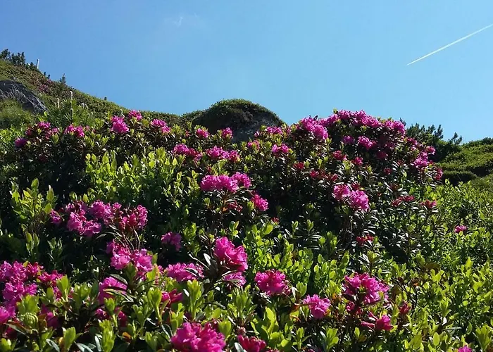 ゲストハウス Kristall クライナル