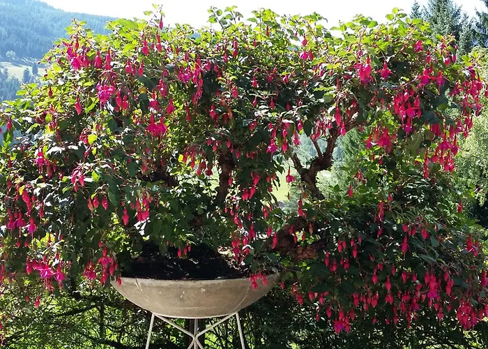 Kristall 3* クライナル