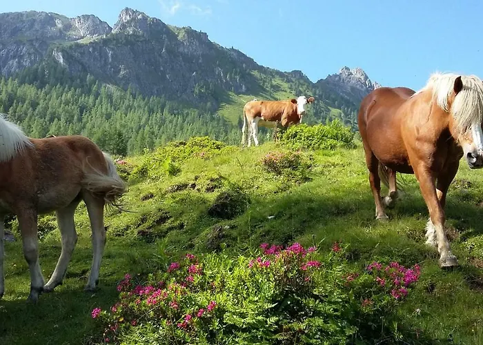 Kristall 3* クライナル